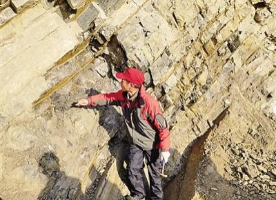 最新研究发现:史上首次生物大灭绝持续仅二十万年