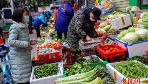 农业农村部:强化蔬菜等产品生产保供